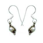 Silver Gemstone Earring